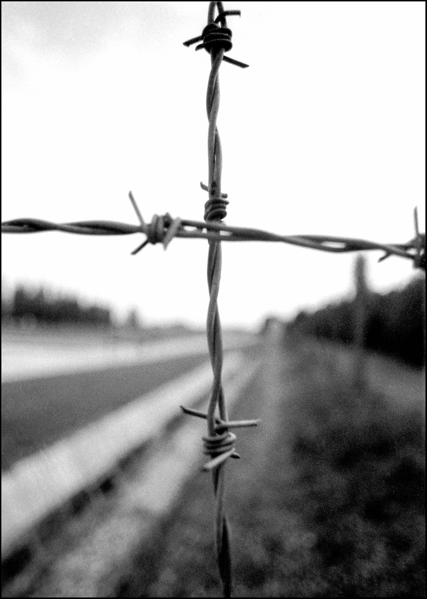 death penalty, photography, photos, execution, prison, documentary, concentration camp, germany, religious, cross